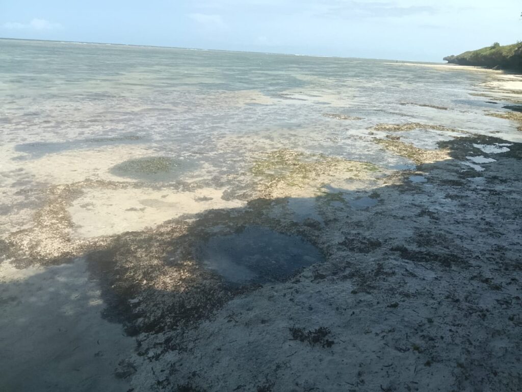 44 Acres for Sale in Tiwi, Diani