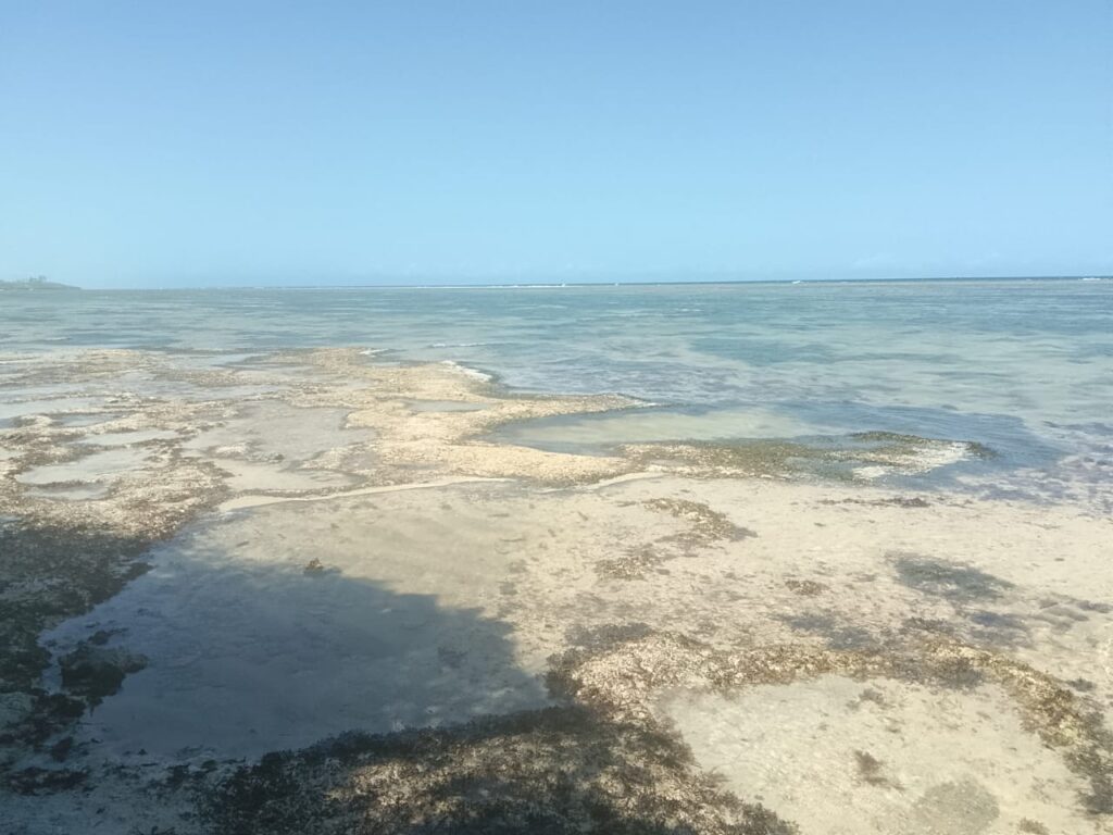 4.5 Acres Beachfront Land for Sale in Diani